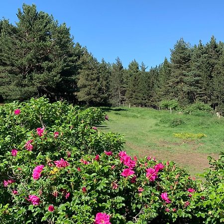 Gite Ranch Le Serpolet Les Angles  Luaran gambar
