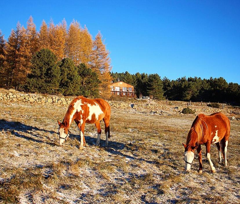 Gite Ranch Le Serpolet Les Angles  Luaran gambar