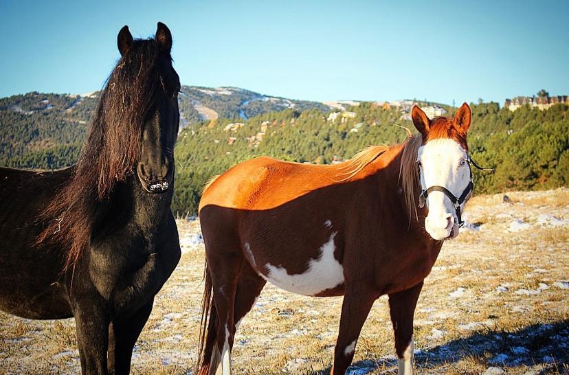 Gite Ranch Le Serpolet Les Angles  Luaran gambar