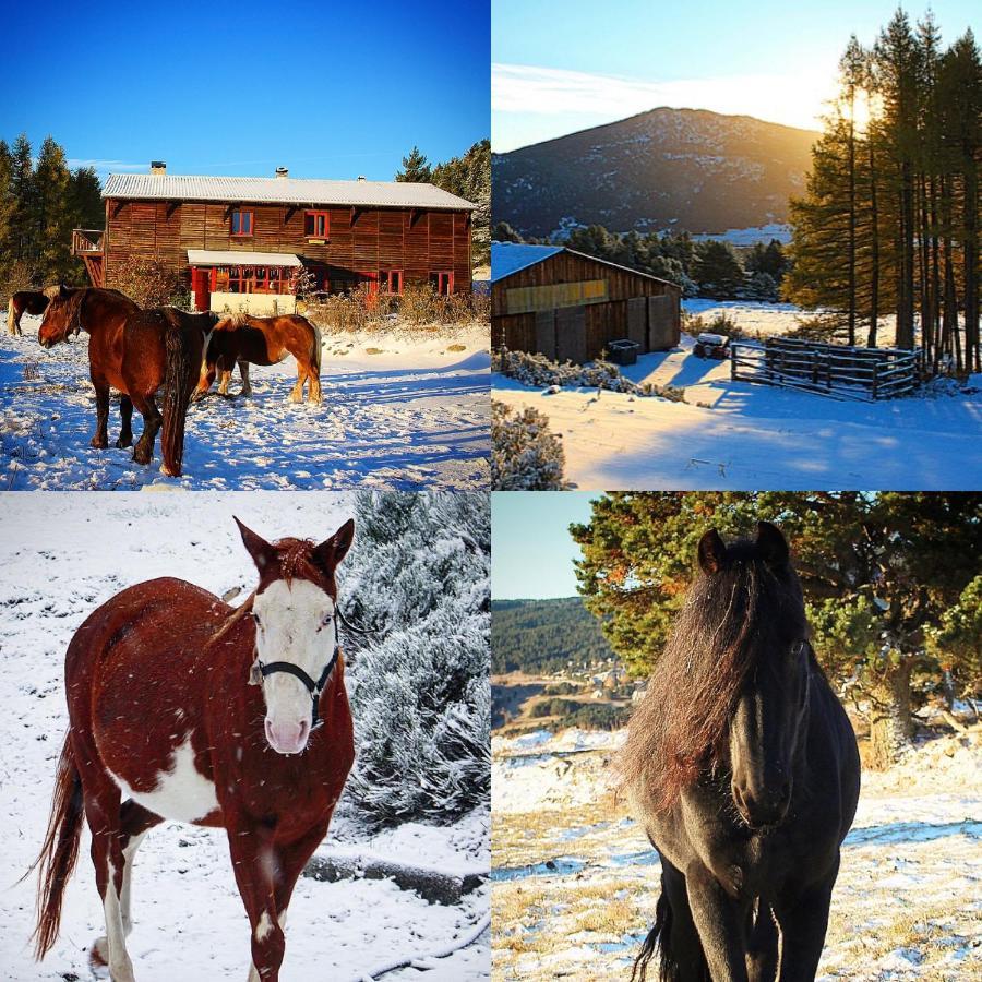 Gite Ranch Le Serpolet Les Angles  Luaran gambar