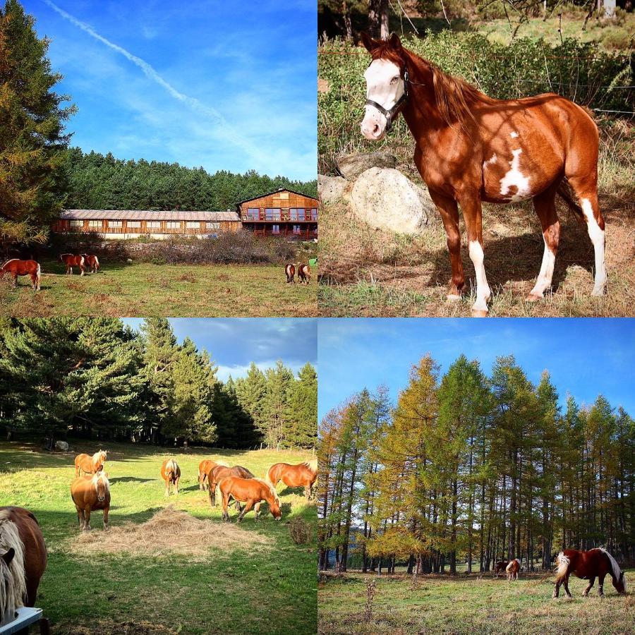 Gite Ranch Le Serpolet Les Angles  Luaran gambar