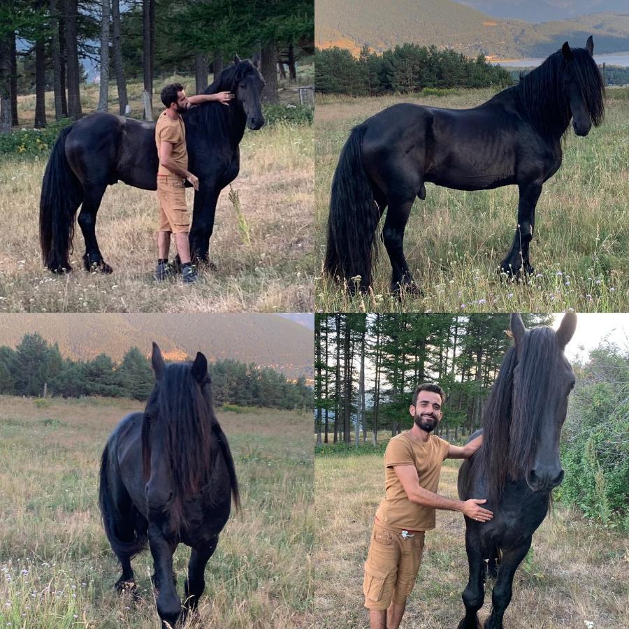 Gite Ranch Le Serpolet Les Angles  Luaran gambar