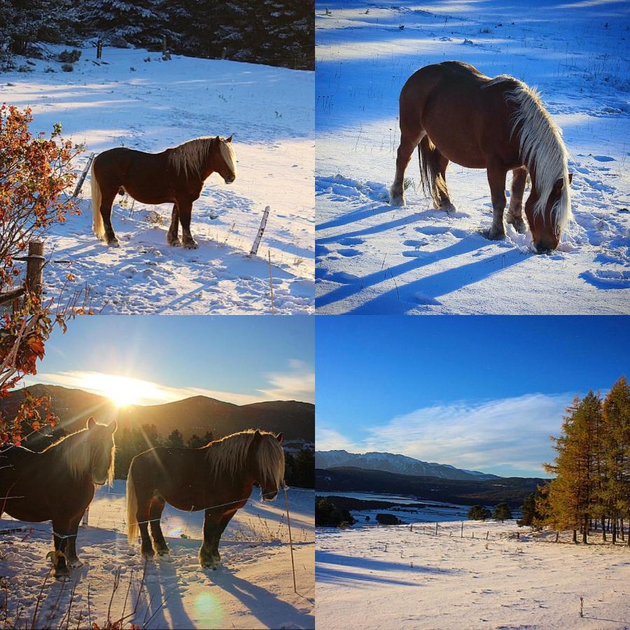 Gite Ranch Le Serpolet Les Angles  Luaran gambar