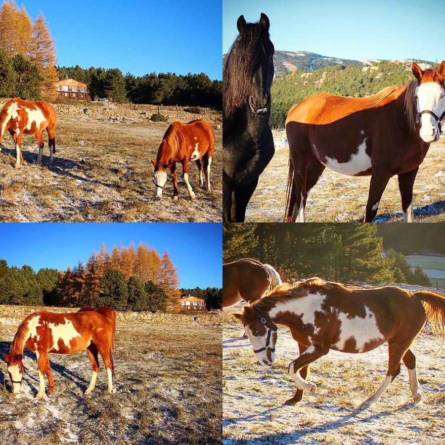 Gite Ranch Le Serpolet Les Angles  Luaran gambar