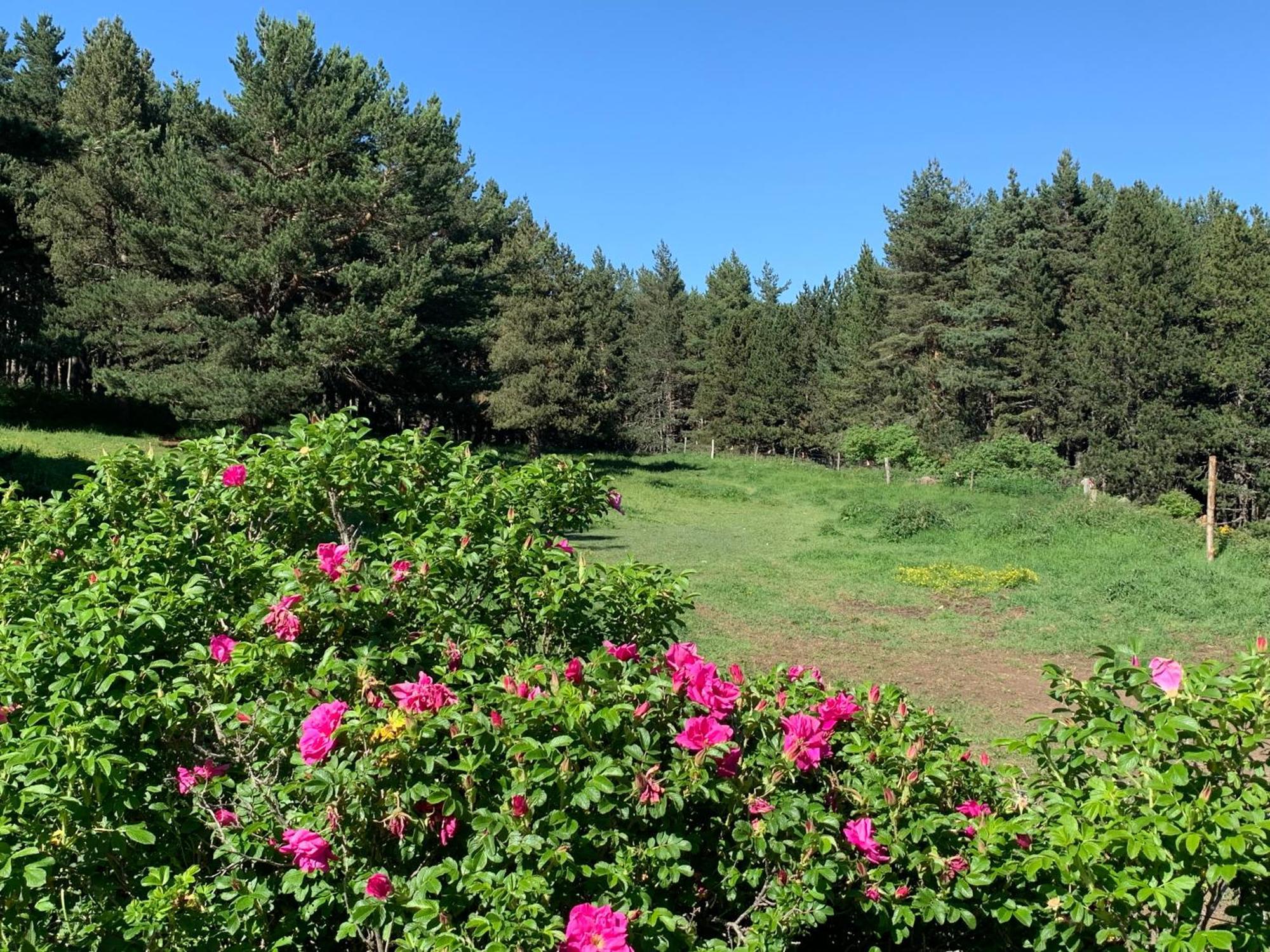 Gite Ranch Le Serpolet Les Angles  Luaran gambar